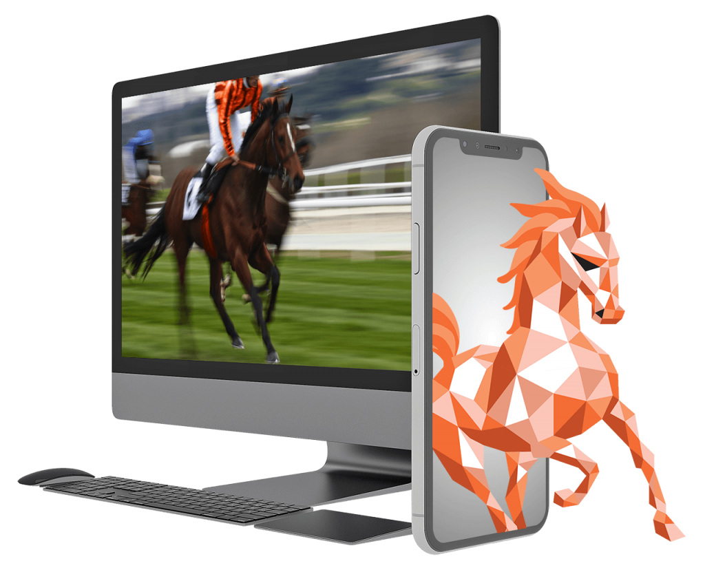 ריידאון שיווק ופרסום באינטרנט