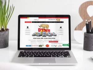 קידום אתרי אינטרנט